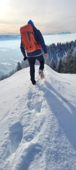 Ortovox Peak 35 - Tourenrucksack 9 Ortovox Peak 35 - Tourenrucksack -Camping Verkauf ortovox peak 35 tourenrucksack 479eeaaef0ad34f8d4b20e458b7c94a1 1