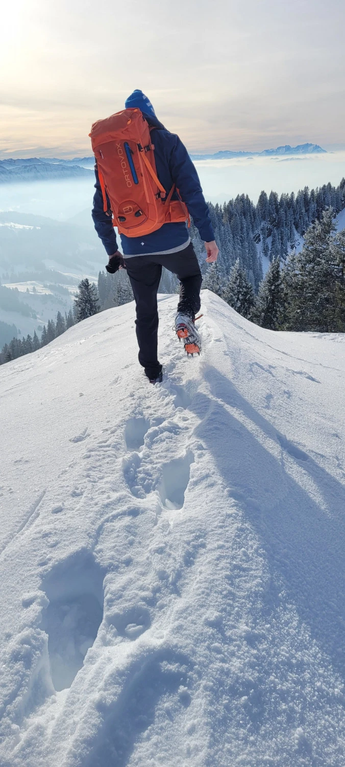 Ortovox Peak 35 - Tourenrucksack 4 Ortovox Peak 35 - Tourenrucksack – Bild 4